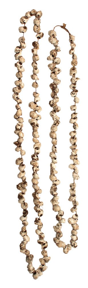 2 Drilled Shell Necklaces.  (29" & 34").  Hathcock (1 of 1)