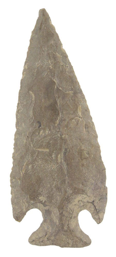 3 1/4" Motley.  Smith Co, TN.  Dover.  Putty G8+ COA (1 of 3)