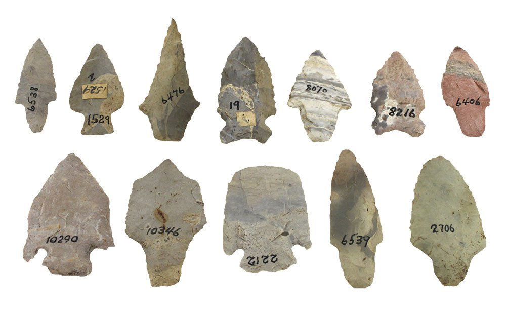 12 Points.  2 1/4"-2 3/4".  MO/AR.  Ex-Roy Hathcock (1 of 1)