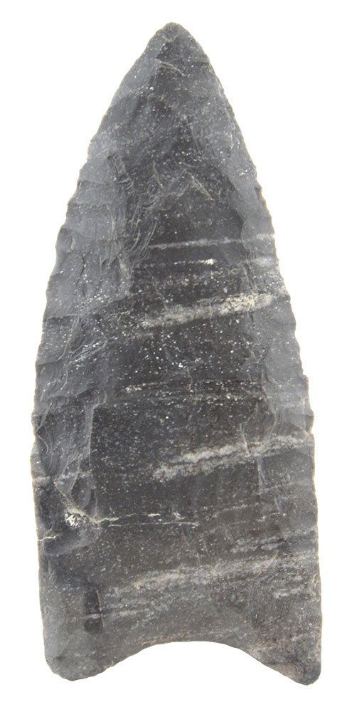 2 1/8" Clovis.  Zapata Co, TX.  Fine.  Rogers COA (1 of 3)