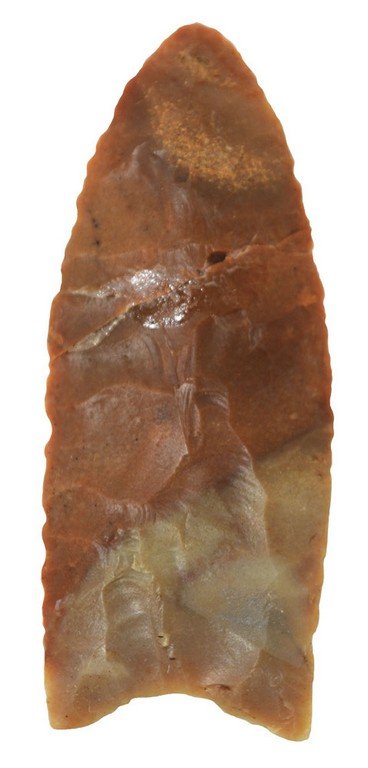 2 5/8" Carter Cave Clovis.  KY.  Glued.  Jackson COA (1 of 3)