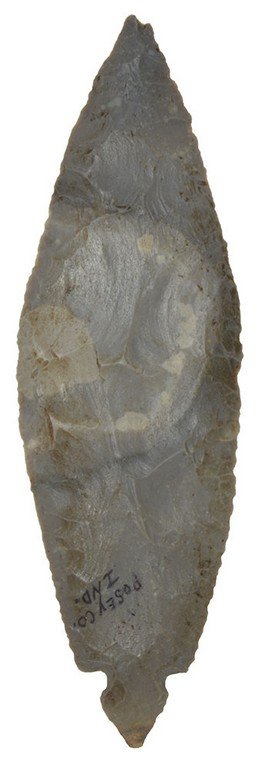 7 3/4" Turkeytail.  Posey Co, IN.  Ex-Cecil Linebaugh, (1 of 2)