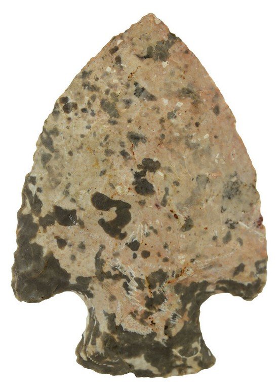 2 9/16" Snyders.  Boone Co, MO.  Spotted Boone Chert. (1 of 2)