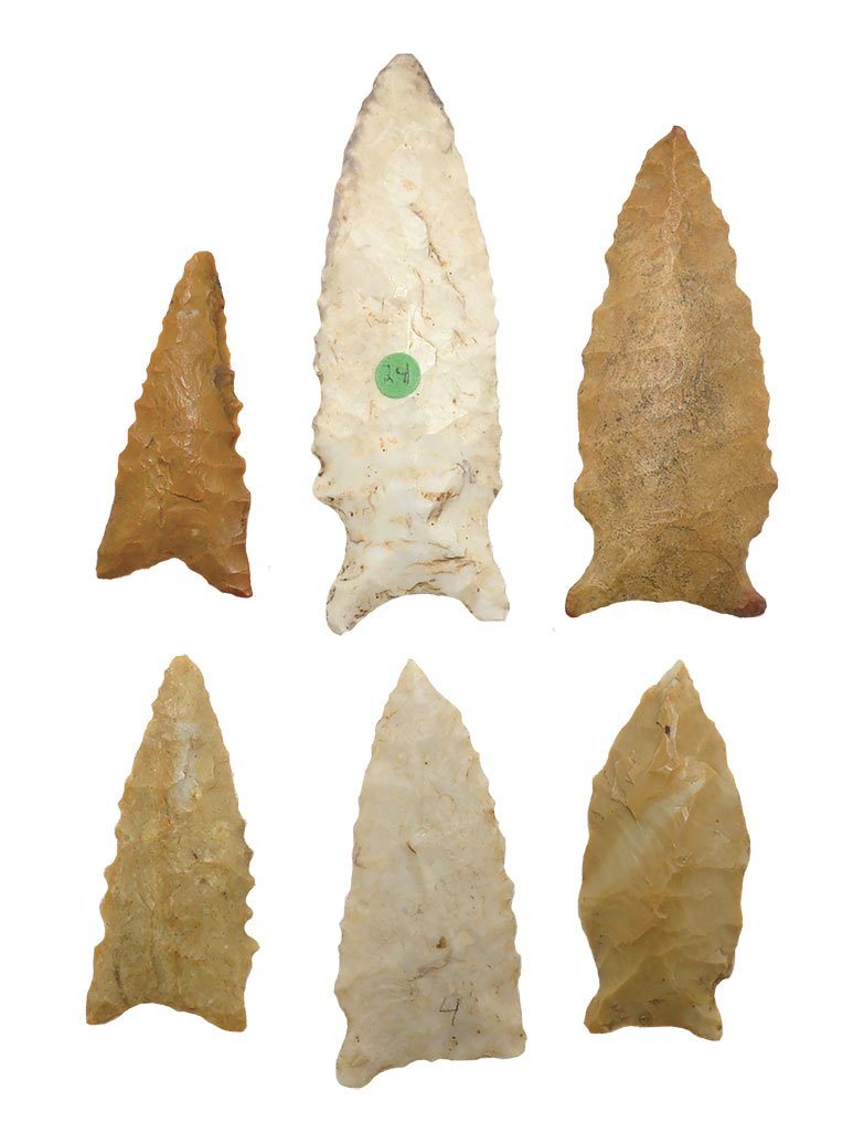 6 MO & IL Daltons.  1 7/8"-3 1/4".  Each has COA (some (1 of 9)