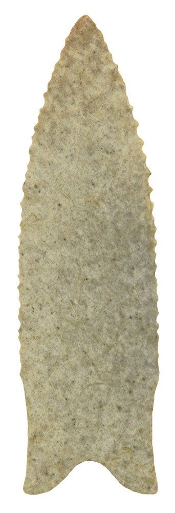 3 13/16" Dalton.  Greene Co, AR.  Thin, exquisite (1 of 4)