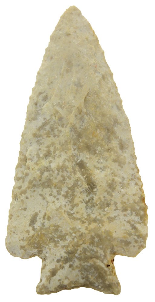 3 1/4" Hardin.  Scott Co, IL.  Boone Chert.   Putty G8 (1 of 3)