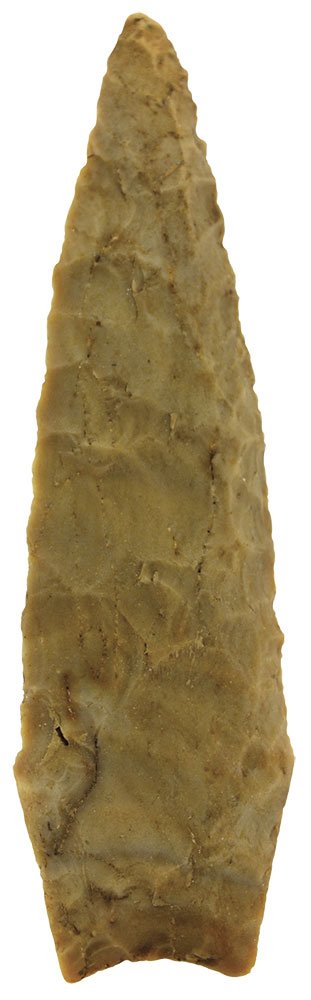 3" Dalton.  Scott Co, IL.  Thin.  Ex-Beanblossom, (1 of 3)