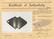 3 1/8" Slate Double Notched Wing Bannerstone. Clark - 3