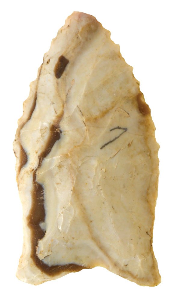 2" Fluted Quad.  IL.  Thin.  Nice Paleo point.  Davis (1 of 3)