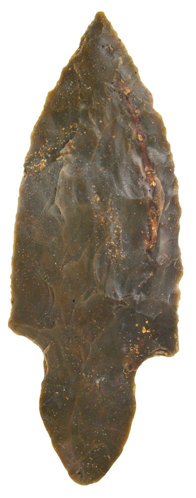 3" Harrison Turkeytail.  Meade Co, KY.  Rogers COA. (1 of 3)