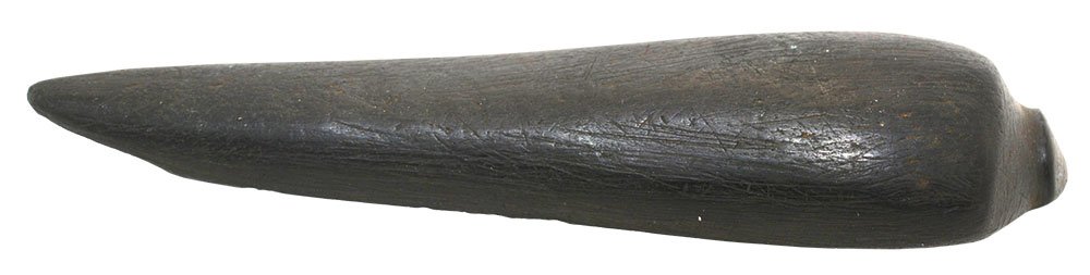 4 1/4" Lizard Effigy.  KY.  Cannel Coal.  Davis G8 COA (1 of 3)