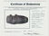6 3/4" Raised Ridge Axe. Bond Co, IL. Meadows COA. - 4