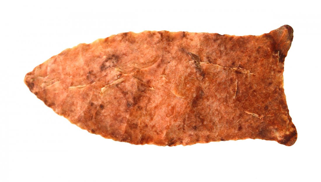 2 1/2" Simpson.  Coffee Co, TN.  Rogers COA.  Thin, (1 of 3)