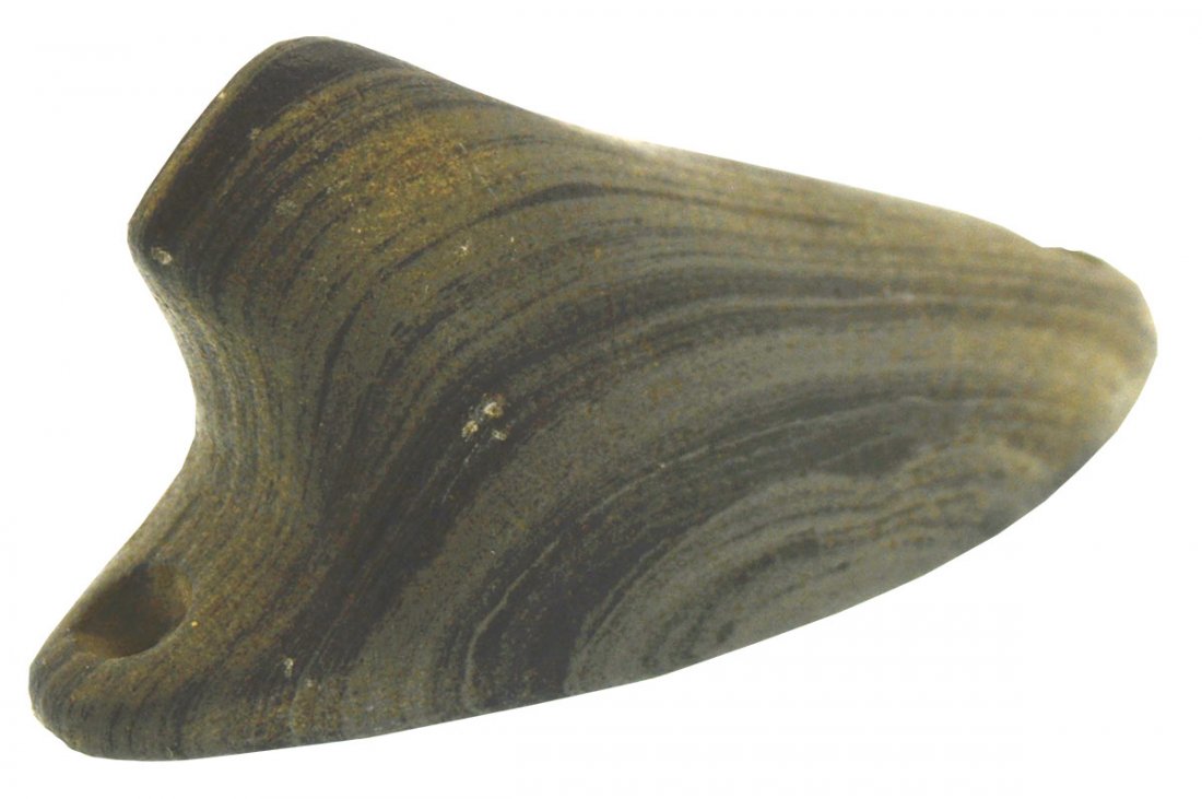 Wonderful 2 1/2" Bust Birdstone.  Scioto Co, OH. (1 of 6)