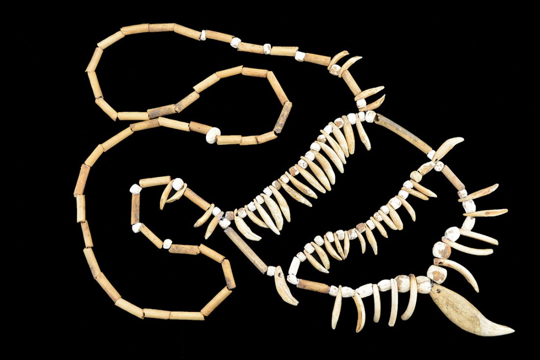Large (56" C.) Shell and Turkey Bone Necklace. FB: Large (56" C.) Shell and Turkey Bone Necklace. Found in 1963 by James McNabb in Del Rio, TN (CK-7). Highlighted with a drilled Bear Tooth. Excellent condition - what a display. Ex-Kevin Pipes, James M