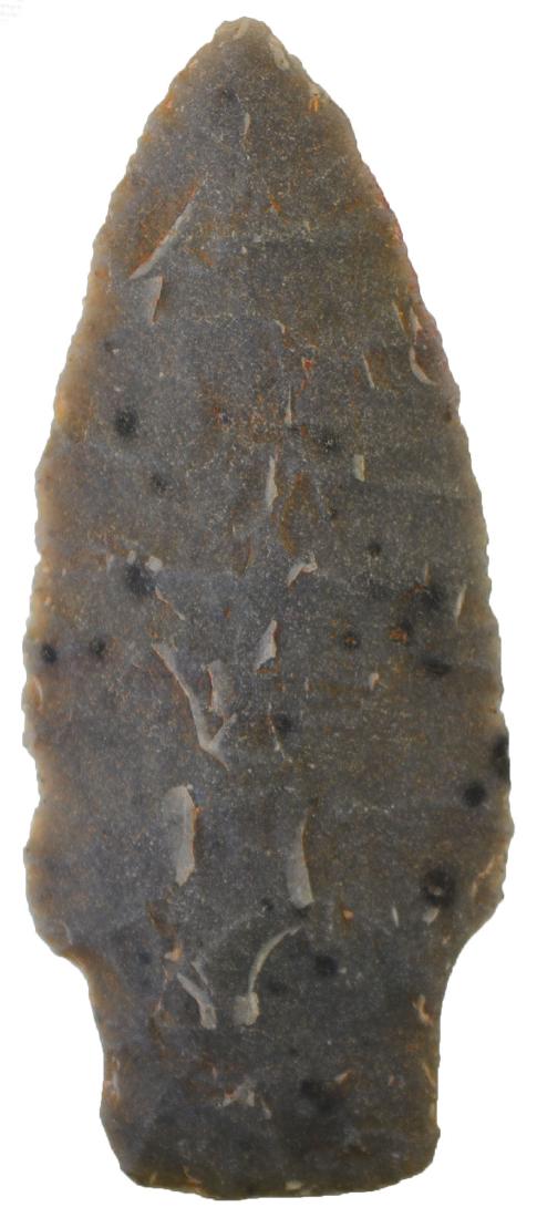 2 5/8" Scottsbluff.  Greene Co, AR.  Spotted (1 of 3)