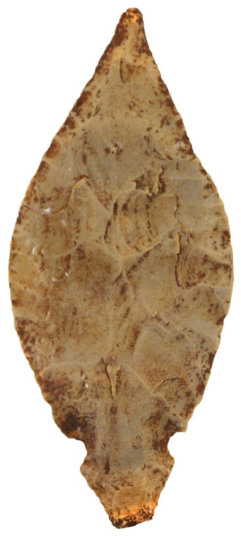 4 1/4" Hornstone Turkeytail.  IN.  Thin.  Davis G10 COA (1 of 3)