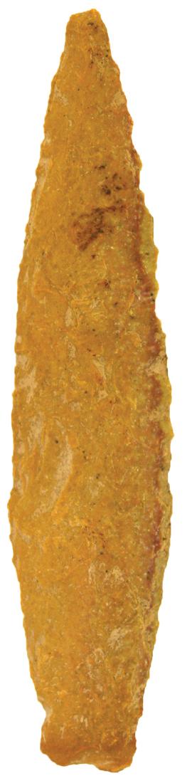 Big 5 1/2" Beaver Lake.  Bath Co, KY.  Davis G7 COA (1 of 3)