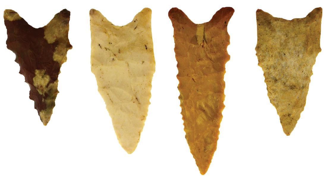 4 Very Nice Missouri Daltons.  1 5/8"-2 3/8".  Ex-Mike (1 of 1)