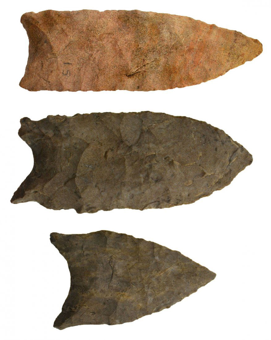 3 Fine 1 7/8"-2 3/4" Daltons/Plainview.  KY (Graves & (1 of 5)