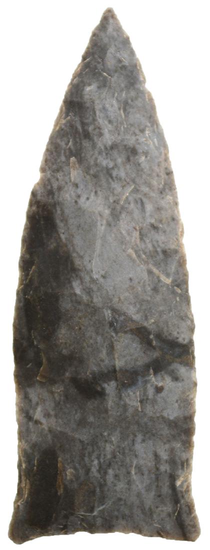 2 13/16" Copena. Wayne Co, KY.  Davis G9 COA (1 of 3)