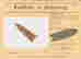 item-50791484=4
