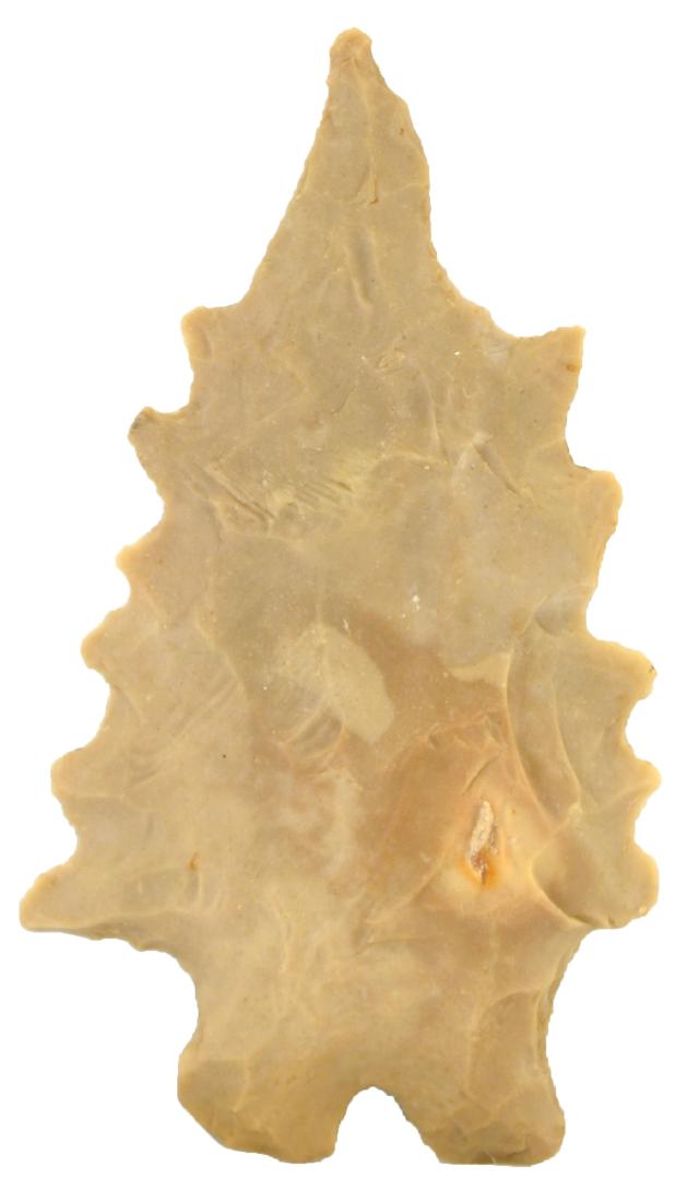 2 3/16" Montell Eccentric. Bell Co, TX. Rare.: 2 3/16" Montell Eccentric. Bell Co, TX. Rare. Ex-Otten. Jackson and Perino COAs