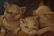 Antique Piglets Oil on Canvas - 4