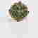 item-73352033=2