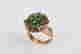 item-73352033=4