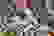 item-73352054=5
