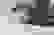 item-78581053=5