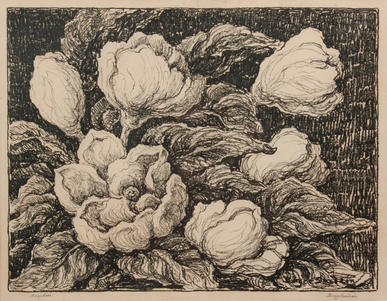 Birger Sandzen 'Magnolias' Pencil-Signed Lithograph: Birger Sandzen (Swedish-American, 1871-1954) Magnolias, 1946 Lithograph on paper Edition of 100 14" x 18 3/8" A pencil-signed and titled floral still life. In a wooden frame that measures 23 1/2"