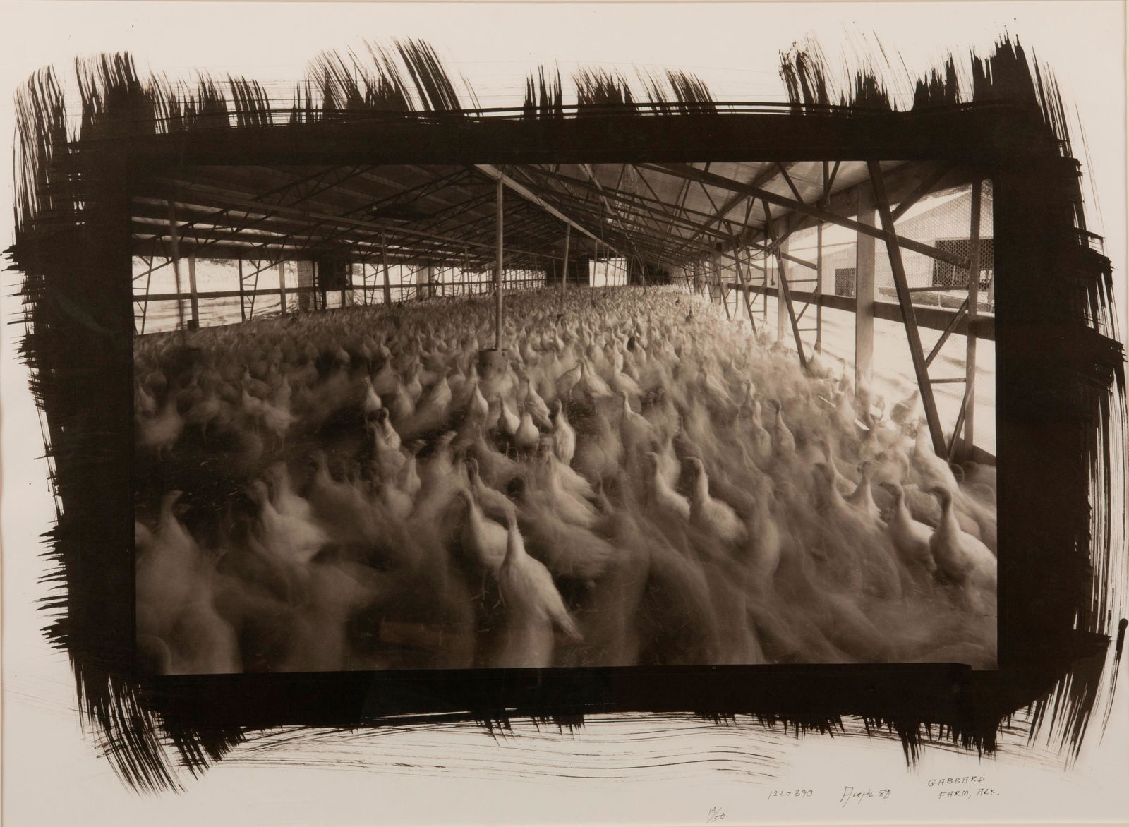 DICK ARENTZ / Grabbard Farm (1988) (1 of 5)