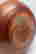 item-104495232=6