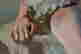 item-113420848=7