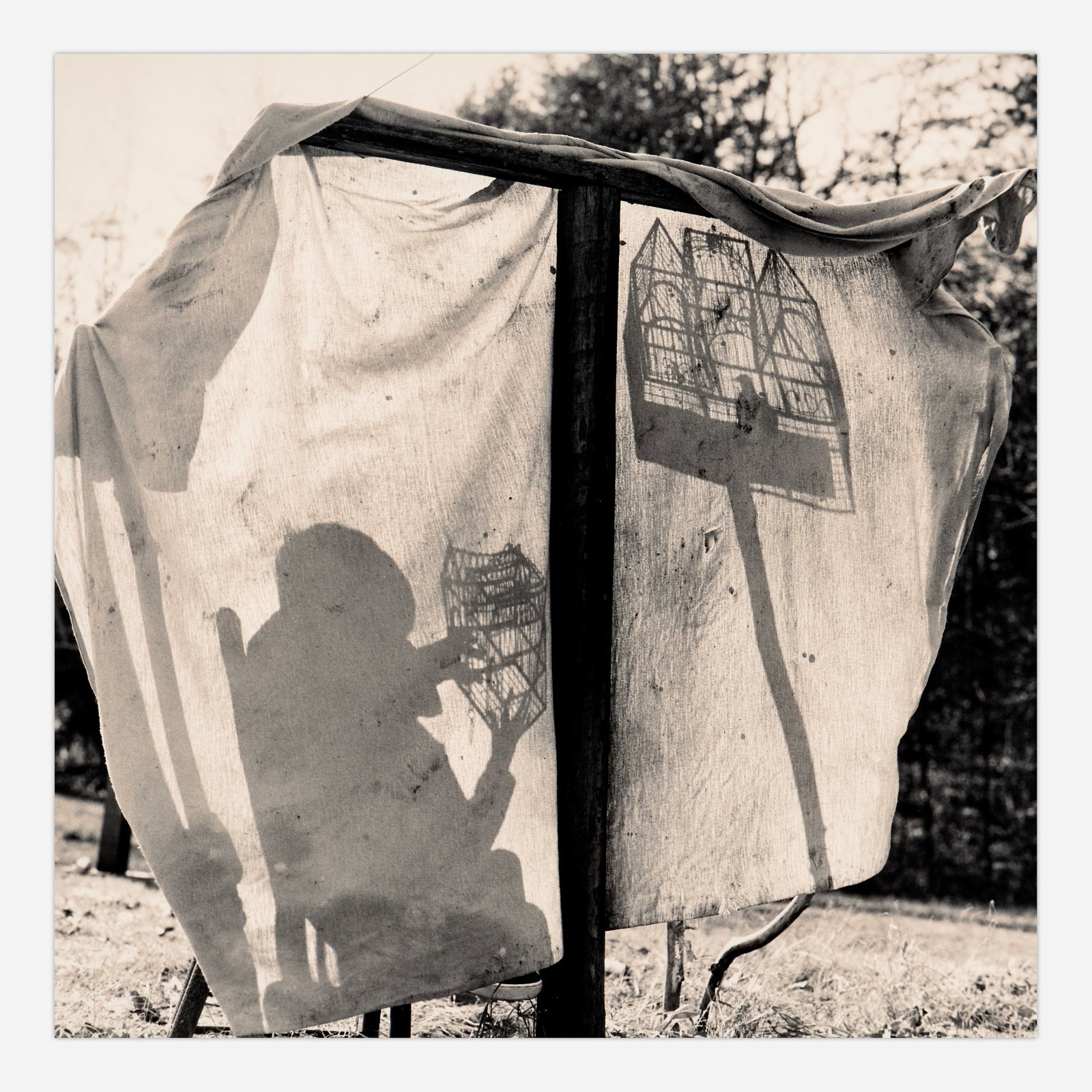 Elijah Gowin "Cage" Gelatin Silver Print (1999) (1 of 3)