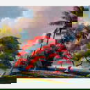 Harold Newton "Royal Poinciana" Oil on Board