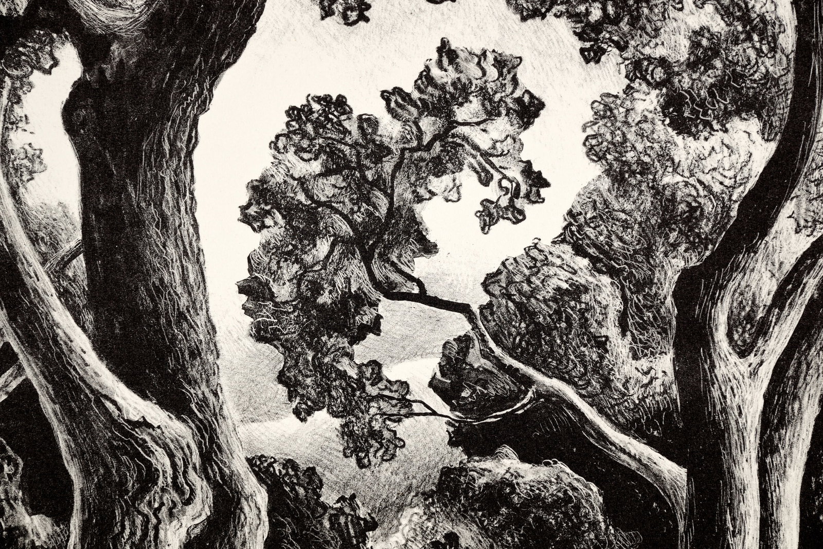 Thomas Hart Benton "Jessie and Jake" Lithograph (1942) - 6