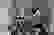 item-64016304=4