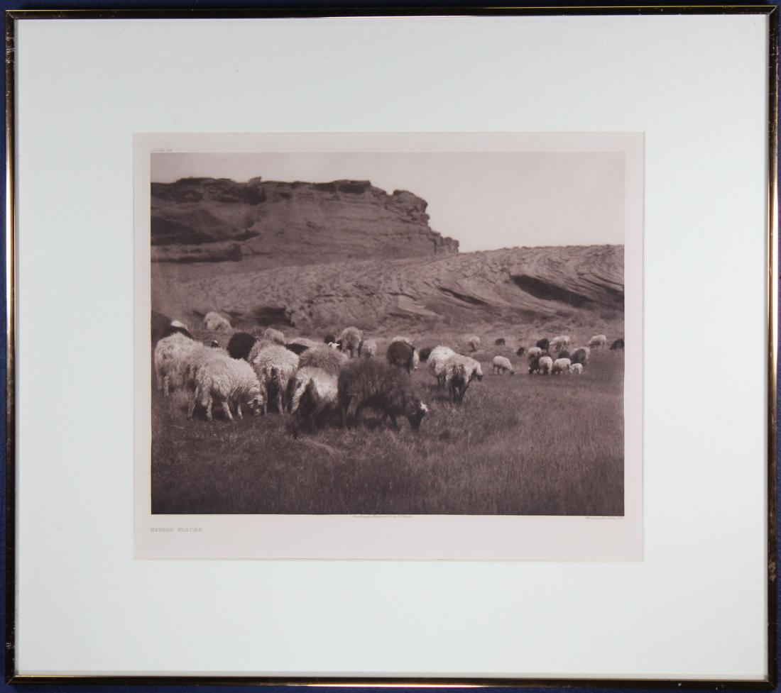 Edward Curtis Photogravure, "Navaho Flocks" (1 of 6)