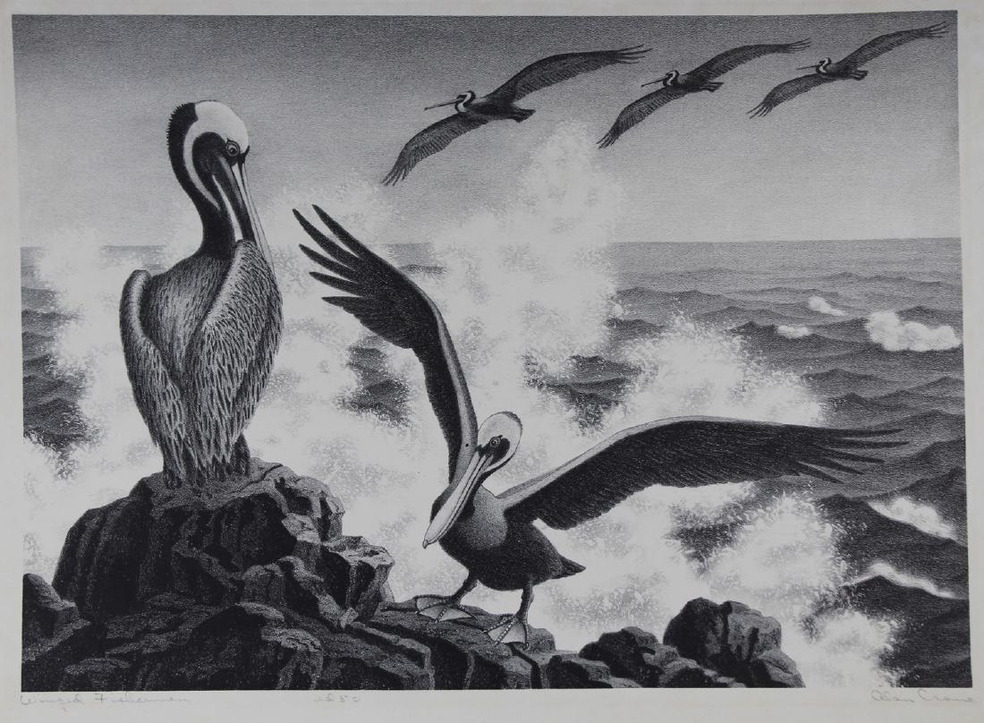 Alan Horton Crane (American, 1901 - 1969) Pelicans (1 of 5)