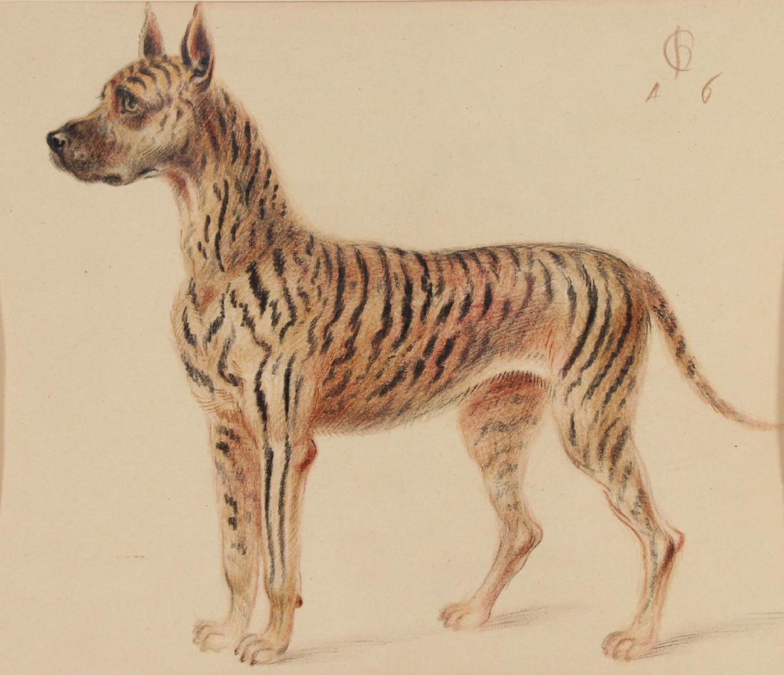 Signed, Colored Pencil Drawing of a Hyena: Signed, Colored Pencil Drawing of a Hyena. 20th century. Monogrammed upper right. Image size: 7.5 x 9 inches.