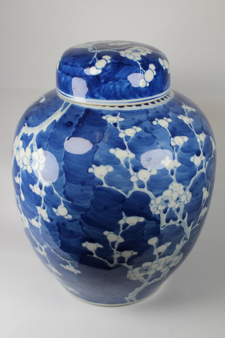 Chinese Blue/White 'Prunus' Ginger Jar & Cover: Chinese Blue/White 'Prunus' Ginger Jar & Cover. Having Double ring blue underglaze mark on bottom. The globular body painted in reserve with prunus limbs branching at angles and extending slender shoo