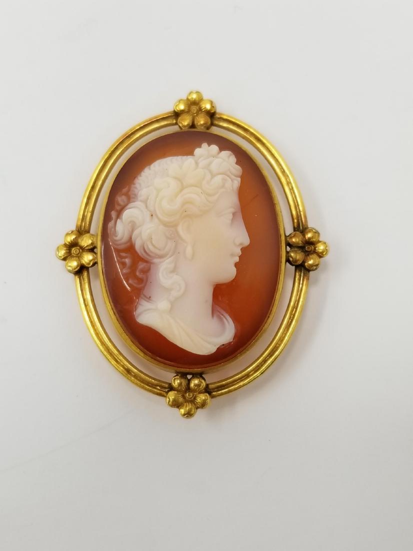 10K Gold & Resin Cameo Pin (1 of 4)