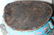 Large Antique Chinese Cloisonne Figure, Signed - 7