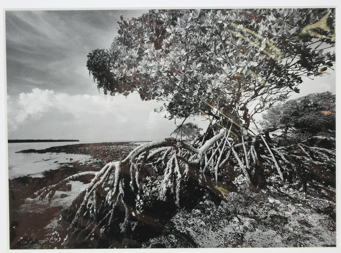 Clyde Butcher (b. 1941) "Indian Key Pass #3" Photo: Clyde Butcher (Florida, b. 1941) Tri-Tone Offset Print Photo. Titled "Indian Key Pass #3" and dated 1995. Mat signed lower right. Image Size: 6 x 8.75 in. Overall Size: 10.75 x 14 in. Unframed.