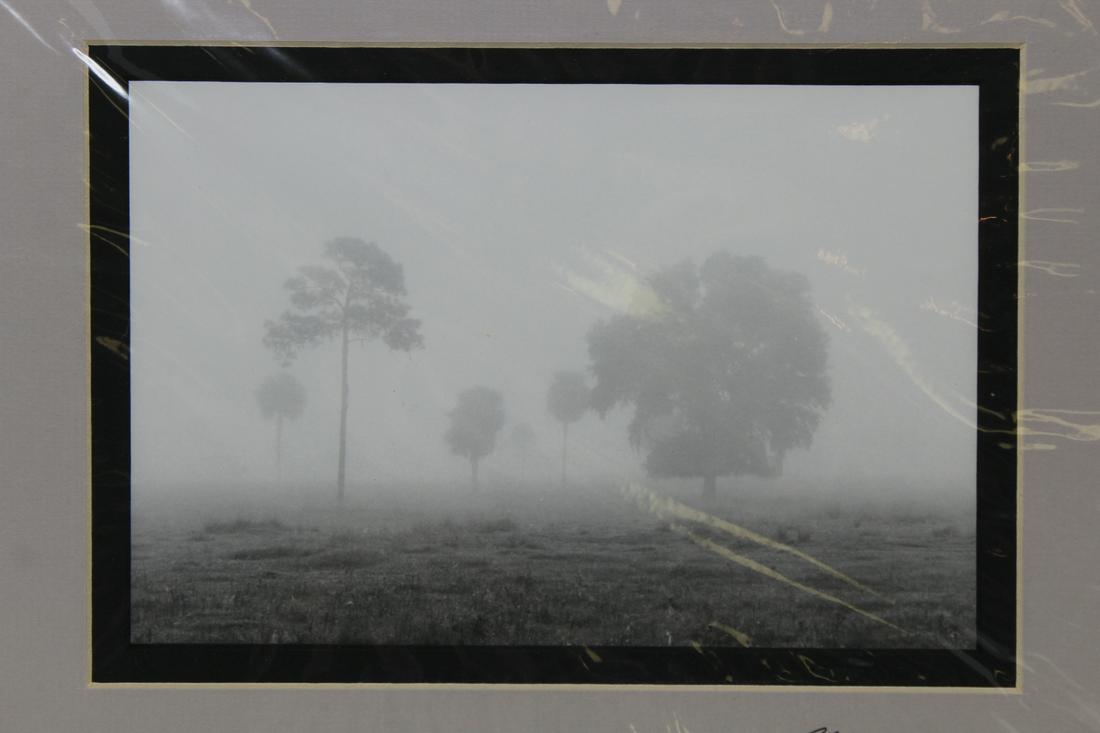 Clyde Butcher (b. 1941) "Misty Morning" Photo: Clyde Butcher (Florida, b. 1941) Tri-Tone Offset Print Photo. Titled "Misty Morning" and dated 1988. Mat signed lower right. Image Size: 6 x 8.75 in. Overall Size: 10.75 x 14 in. Unframed.