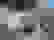 item-80212304=2