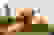 item-80212305=3